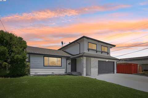 48344 Conifer St, Fremont, CA 94539