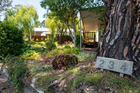 234 E Seven Flags Circle, Sonoma, CA 95476