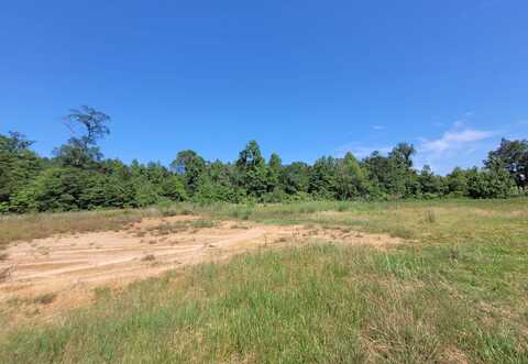 1565 County Road 3102, Call, TX 75933