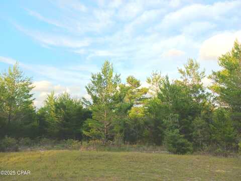 Tassel Court lot: 17, Chipley, FL 32428