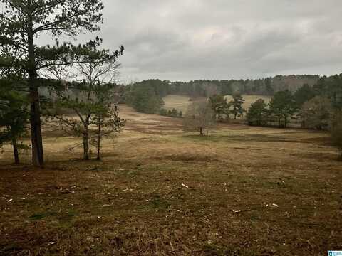 2020 CHURCH ROAD, PELL CITY, AL 35128