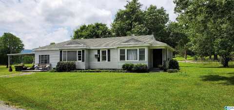 145 HILLSIDE CIRCLE, CHILDERSBURG, AL 35044