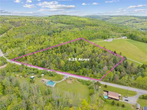 0 Blackman Hill Road, Caroline, NY 13736