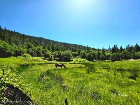 19647 Hyampom Rd, Hyampom, CA 96046