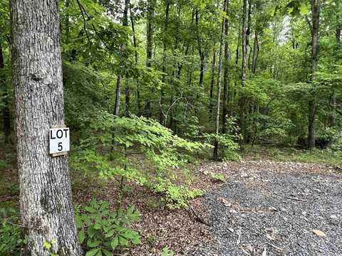 310 Cathedral Pines Lane, Mena, AR 71953
