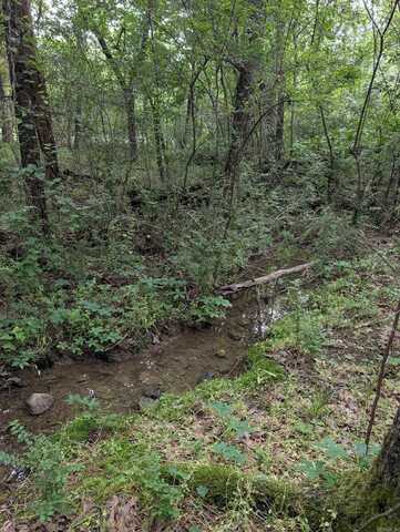 undefined, Hot Springs Village, AR 71909