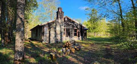E4692 E SIMMONS RD, PICKFORD, MI 49774