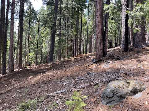 5205 Hokan Circle, Camp Connell, CA 95223