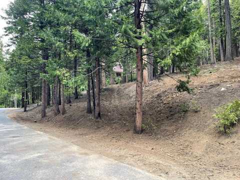 5175 Hokan Circle, Camp Connell, CA 95223