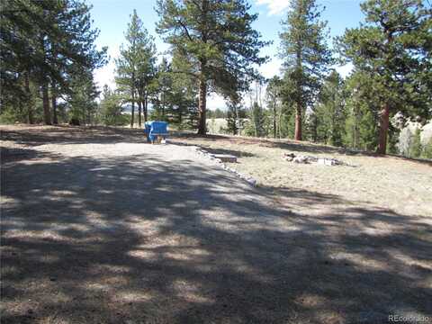 1080 Brahma Circle, Hartsel, CO 80449