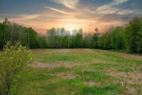 58+ acres NE County Line, Coleman, MI 48618