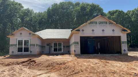123 Branch View Trail, Perry, GA 31069