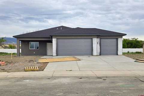 15185 Silver Belle Street, Delta, CO 81416
