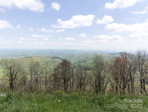 Wildcat Road, Deep Gap, NC 28618