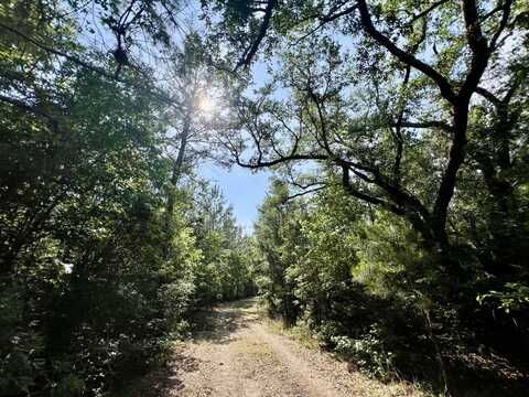 678 Meria Drive, Georgetown, SC 29440