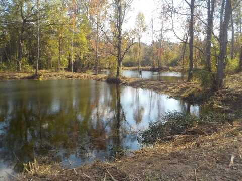 2338 D Hodge Rd (25.63+-ac), Cottonwood, AL 36320