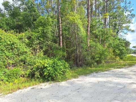 Lot 39 512th St, Old Town, FL 32680