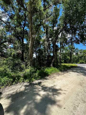 0 Hwy 317, Old Town, FL 32680