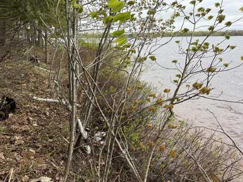 #79 W Birch Shores DR, Trout Lake, MI 49793