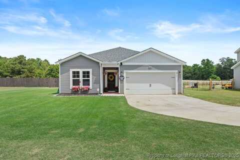 1454 McNeill Pond Road, Lumber Bridge, NC 28357