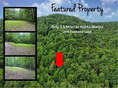 #e,F,C Twin Coves Rd, Bryson City, NC 28713