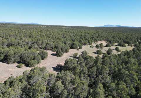 Tract 1 Gonzales Road, Edgewood, NM 87015