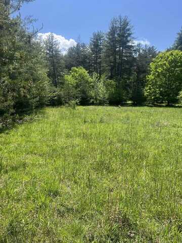 15128 HIGHLAND TPKE, HEADWATERS, VA 24442