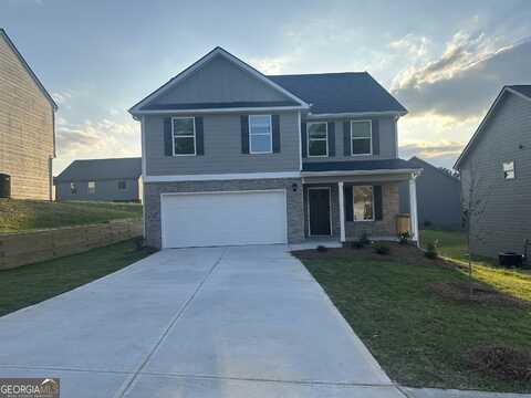 11045 Shadow Creek, Hampton, GA 30228