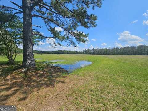 10143 Highway 80, Brooklet, GA 30415