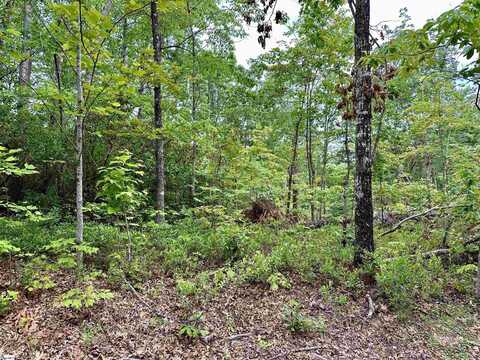 37 Danna View Court, Marietta, SC 29661