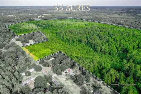 00 Tot Drive, Blackshear, GA 31516