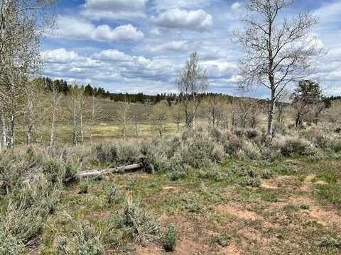 Tbd TS Road, Whitewater, CO 81527