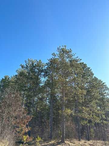 On SPRING CREEK DR, Tomahawk, WI 54487