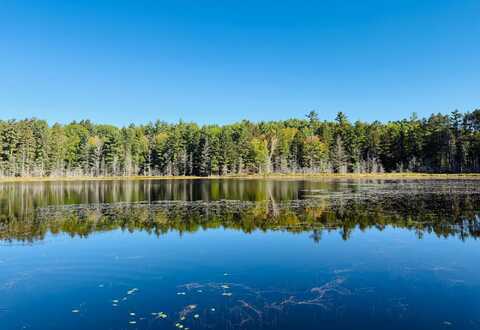 2814 PICKEREL LAKE RD, Eagle River, WI 54521