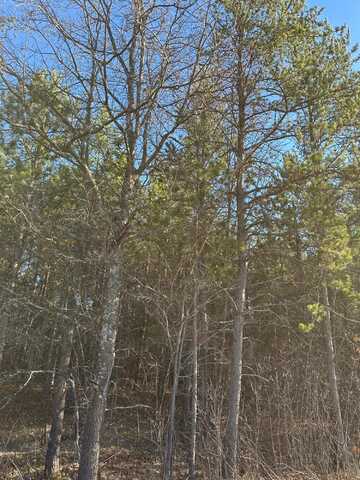 On LOWER KAUBASHINE RD, Minocqua, WI 54548