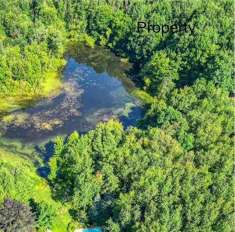 0 64th Street, Fennville, MI 49408