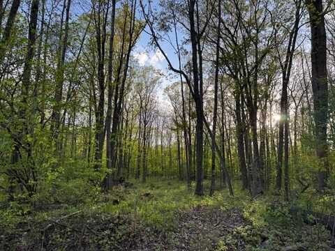V/L Lot 187 Alps Drive, Reed City, MI 49677