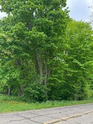 Gleason Road, Three Rivers, MI 49093