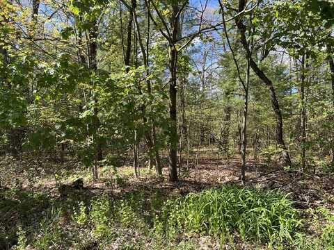 8th Street, Wellston, MI 49689