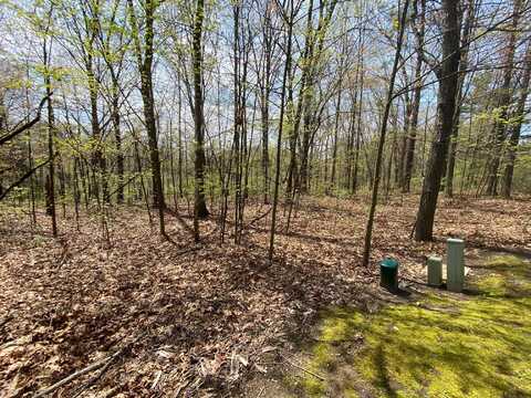 12998 Bowen Lake Drive, Gowen, MI 49326