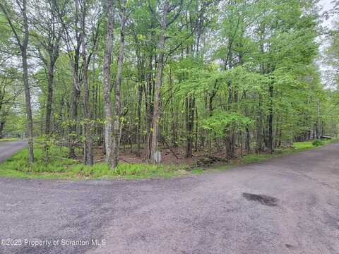Cochise Trl. Lot 14, Gouldsboro, PA 18424