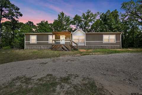 3801 County Rd 4316, LaRue, TX 75770