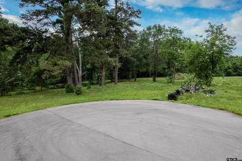 Lot 3 Castleberry St, Brownsboro, TX 75756