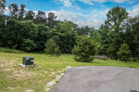 Lot 2 Castleberry St., Brownsboro, TX 75756