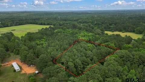 TBD Lot 2 (2.350 acres), Ben Wheeler, TX 75754