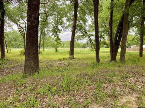 Lot 2 Browning Street, Brownsboro, TX 75756