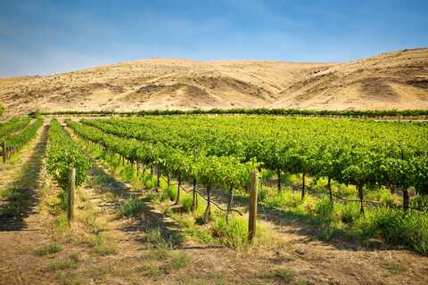 7002 W 25th Ave., Kennewick, WA 99338