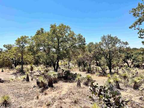 Lot 322 TBD W. Castlebriar Drive, Granite Shoals, TX 78654