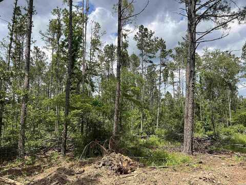 xx HWY 369, Amity, AR 71921