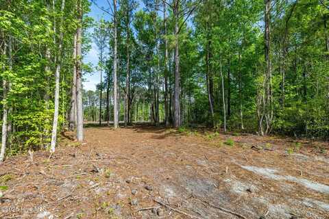 216 Meadow Lane E, Hubert, NC 28539